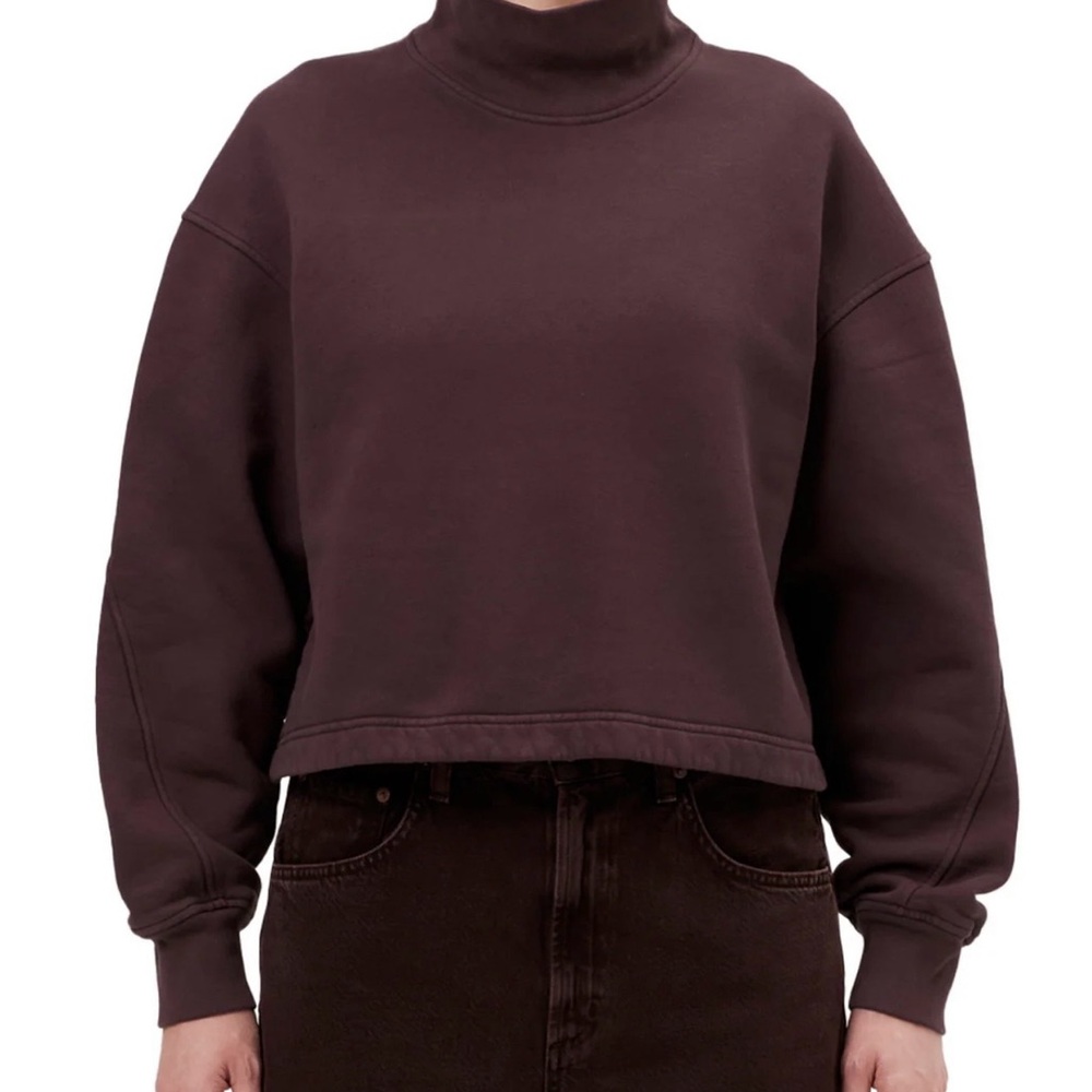 Agolde Chocolate Brown Turtleneck Sweatshirt